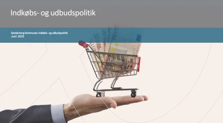 Udbudspolitik