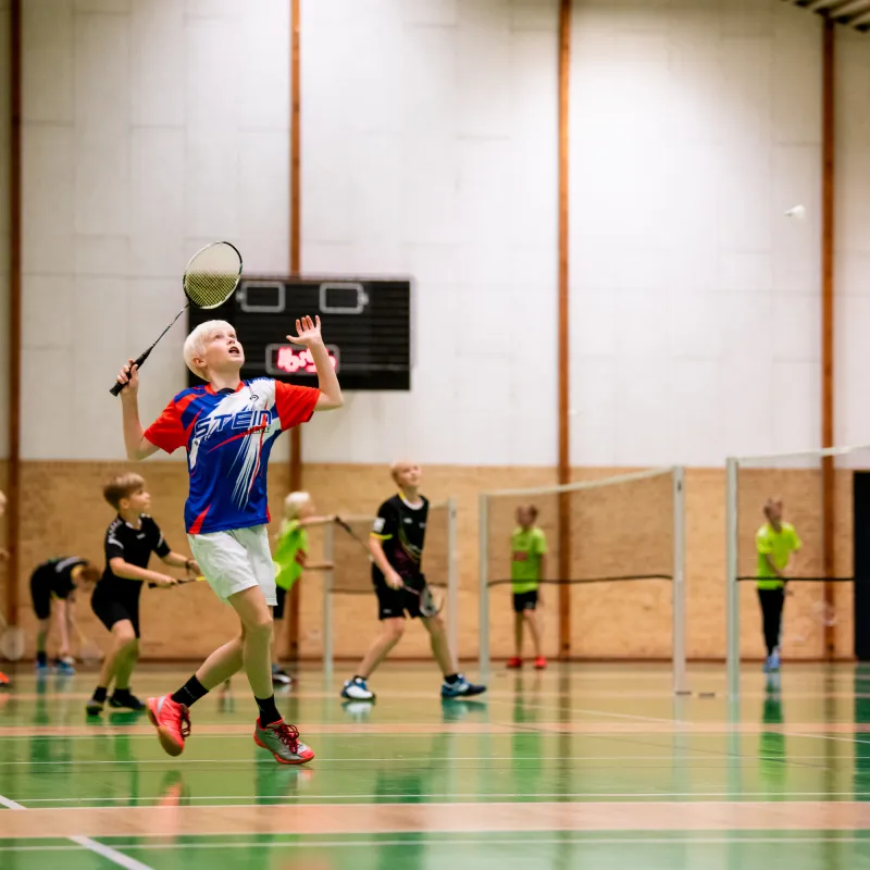 Badminton
